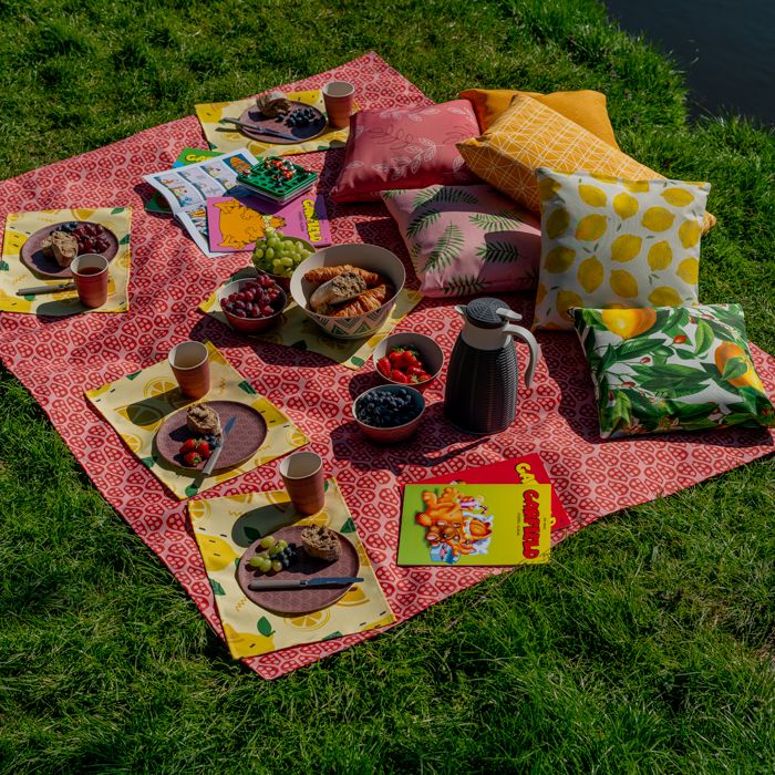 Picknickkleed
