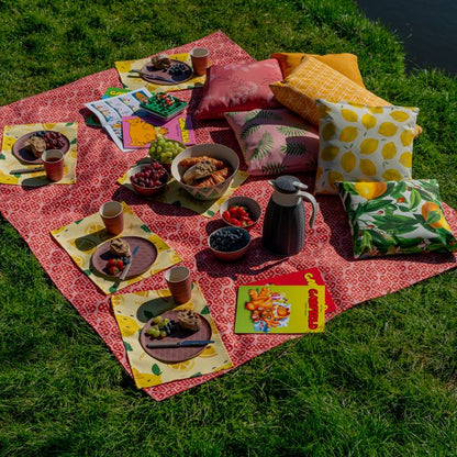 Picknickkleed