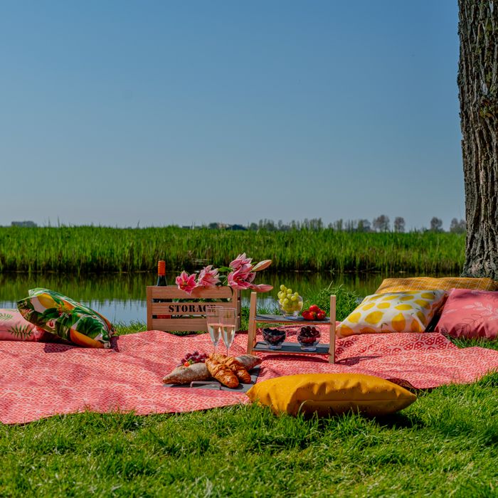 Picknickkleed