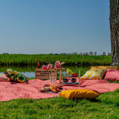 Picknickkleed