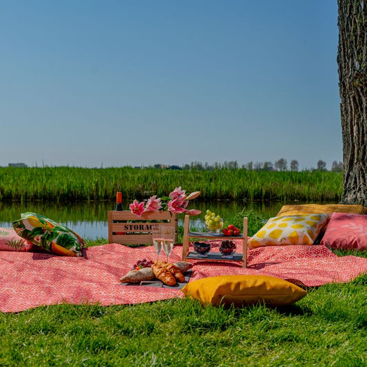 Picknickkleed