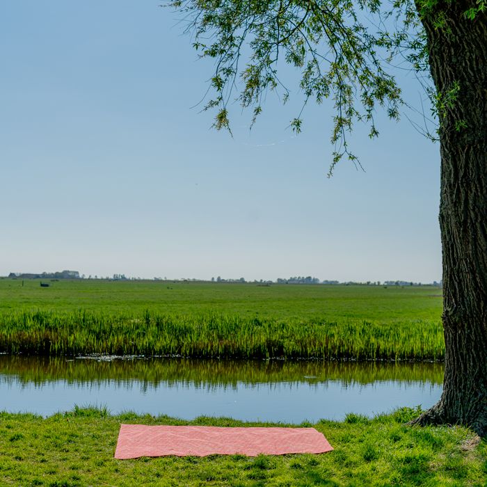 Picknickkleed