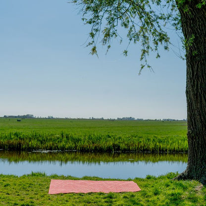 Picknickkleed
