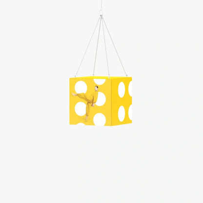 Plafond frames